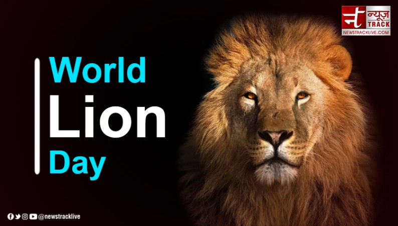 World Lion Day 2023