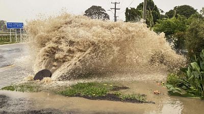 चक्रवात के बाद न्यूजीलैंड में बाढ़ ने मचाया आतंक