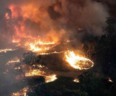 ऑस्ट्रेलिया के जंगल में आग के बाद बारिश से भी रहत के आसार नहीं
