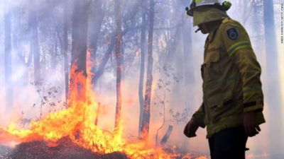 Australia's forest caught fire, three dead so far