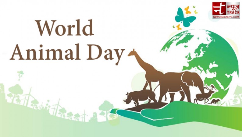World Animal Day: Conservation of animals is our responsibility | NewsTrack  English 1