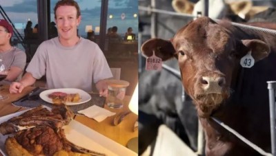 अब गाय का मांस बेचेंगे मेटा के CEO मार्क जुकरबर्ग? मुस्लिम शख्स ने दी हलाल करने की सलाह